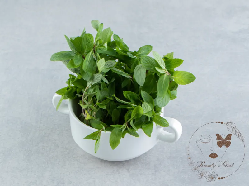 Tulsi Benefits